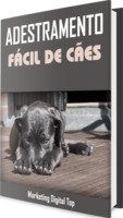 Adestramento fácil de cães