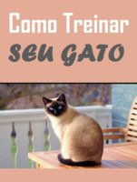 Como treinar o seu gato