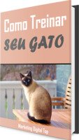 Como treinar o seu gato
